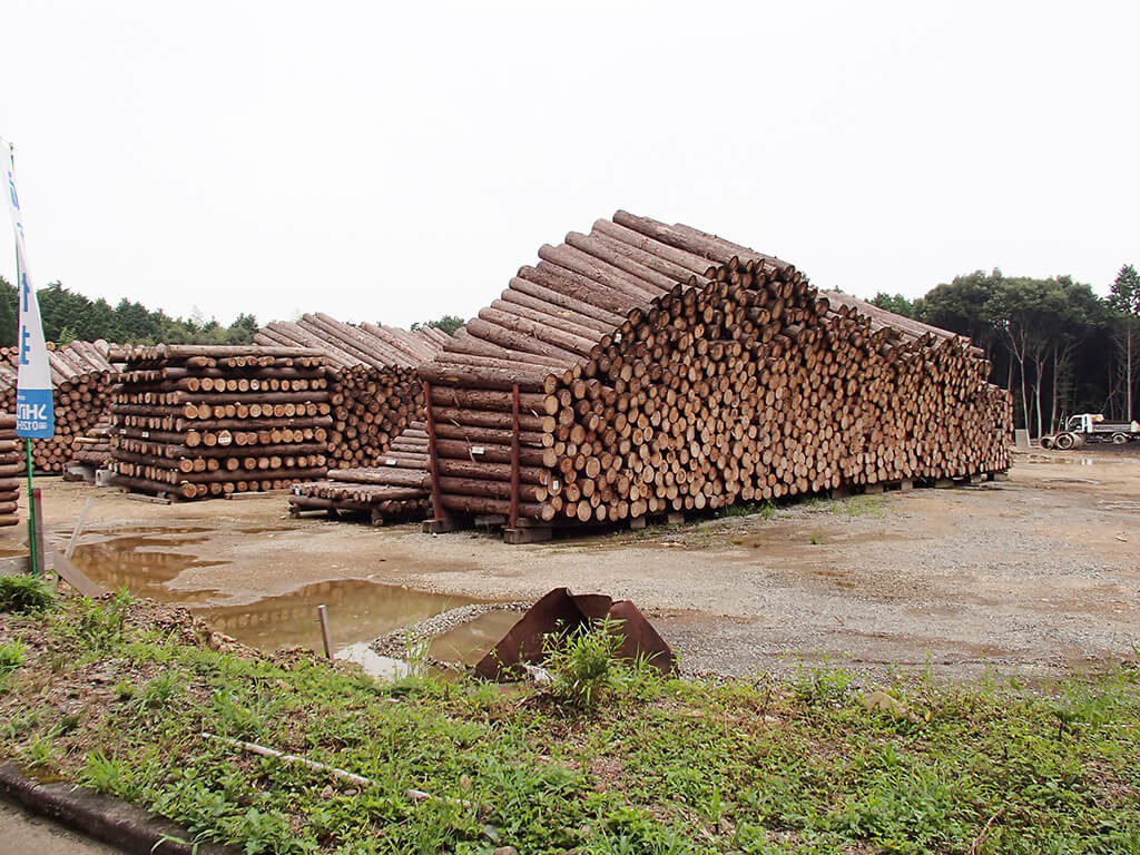 wood-原木乾燥