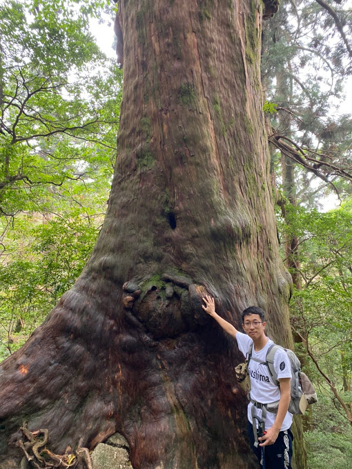 スタッフブログ|自然を満喫する旅|縄文杉|画像13